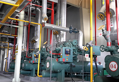 2013年山東壽光蔬菜產(chǎn)業(yè)集團速凍冷藏食品加工綜合工廠(chǎng)冷凍系統項目